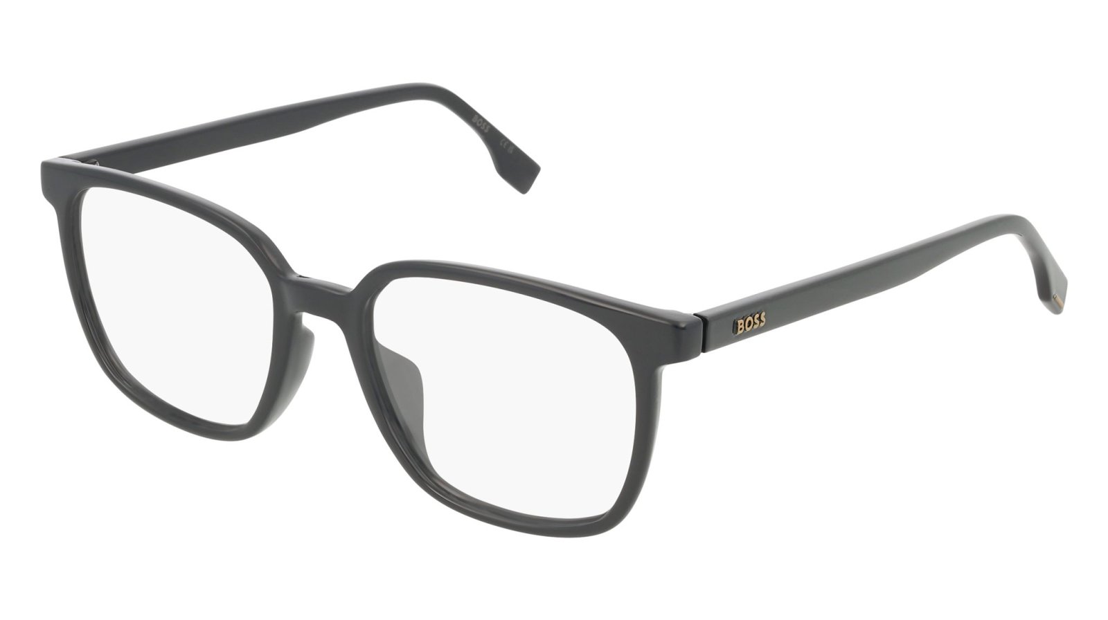 BOSS 1679/F 807 2